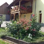 Le Piémont Des Vosges Appartement *