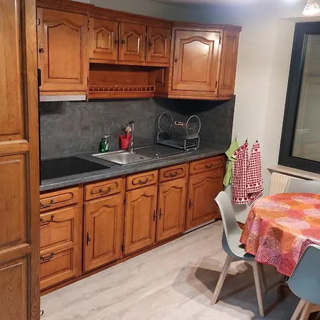 Le Piémont Des Vosges Appartement *